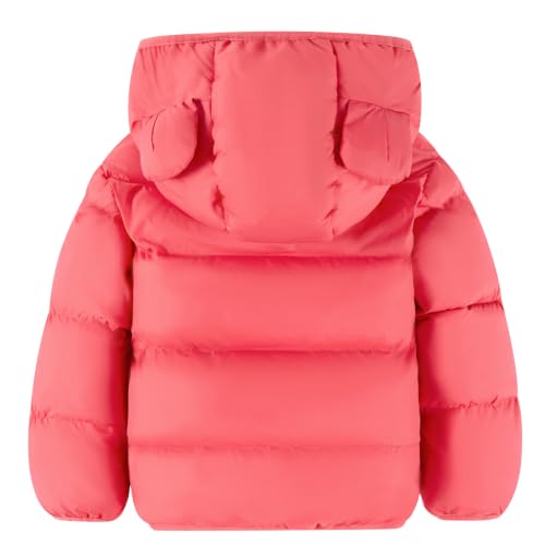 Image of BFUSTYLE Baby Toddler Coats Boys Girls Bear Ear Hooded Puffer Jackets 6M-5T