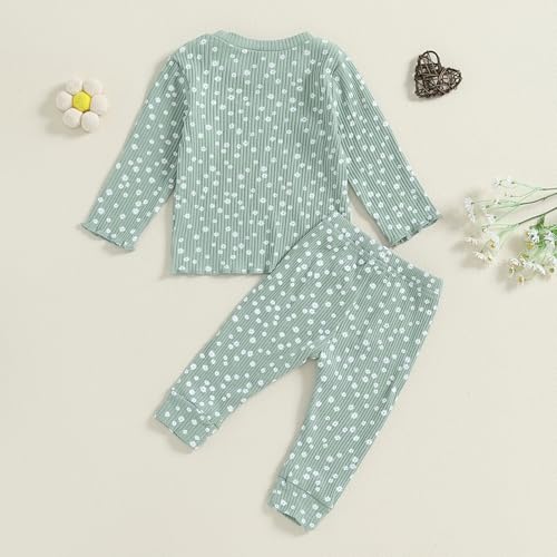 Baby Girl Fall Clothes Set Floral Print Long Sleeve Tops Pants Cute Infant Toddler Outfits 6 12 18 24 Months 2T (Floral Green, 18-24 Months)