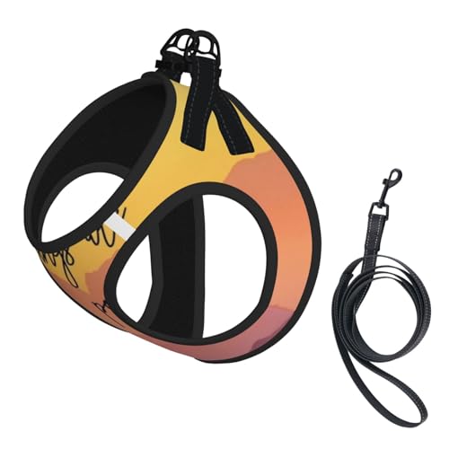 Bible Verse Inspirational Bible Verse Inspirational (5) No Pull Dog Harness and Leash Set, Cute Reflective Adjustable Vest for Small Dogs,Breathable Mesh Puppy Harness for Walking Hiking,Large