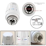 LNGJIN B0CNJRF1XK lato 4