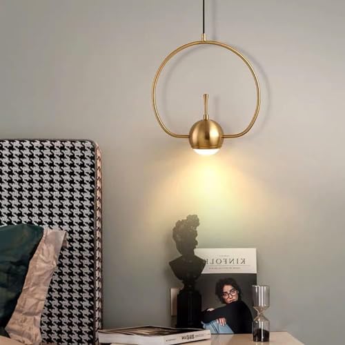 Luminaire de plafond LED en métal pour décoration de boutique chic