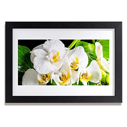 Affiche avec cadre salon cuisine chambre motif orchidée 30x20
