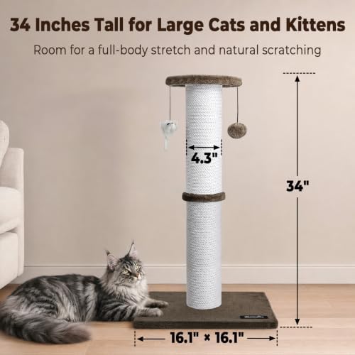 Ahomdoo 34-Inch Tall Cat Scratching Post for Large Cats, Stable Base, Brown - 1