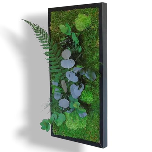 Myvegetal HM tableau végétal stabilisés eucalyptus sans entretiens - tableau de plantes et décoration murale d'intérieur, plantes et fleurs éternel made...