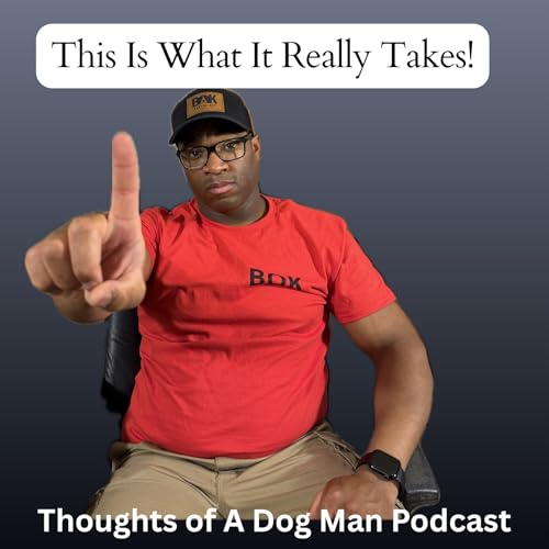 1 Year of Thoughts of a Dog Man: What I've Learned & What's To Come