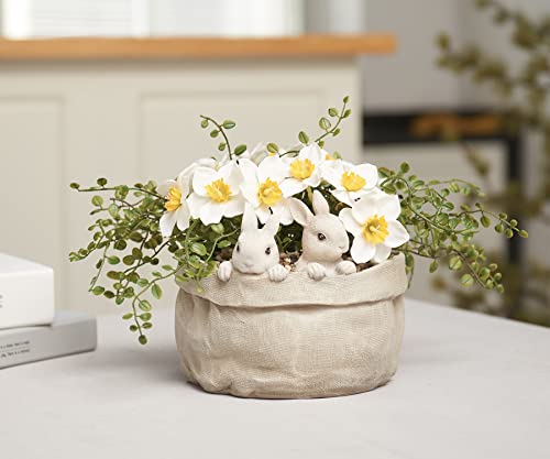 Newman House Studio Decorative Succulent Rabbit Garden Pots - Succulents Bunny Flower Pots Planter Pots 7.5 * 7.4 * 6.1 Inch #TOP2