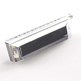 YINGJUN Chromatic Harmonica C 48 Laiton Roseaux 12 Trous Professionnels Harpe Instruments de Musique (Color : SCX 48) - Les Beatles, Paul McCartney, John Lennon, RIngo Starr, George Harrison YINGJUN Chromatic Harmonica C 48 Laiton Roseaux 12 Trous Professionnels Harpe Instruments de Musique (Color : SCX 48) – Image 6