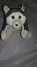 Ty Beanie Babies - Nanook the Husky [Toy]