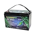 DJLBERMPW 12V 100Ah LiFePO4 Battery 12V 100Ah Lithium Battery, Built-in 100A BMS 1280Wh, 8000+ Deep Cycle Marine Battery 12V, Lithium Batteries 12V for Boat,Kayak,Trolling Motor,RV,Golf Cart,Solar