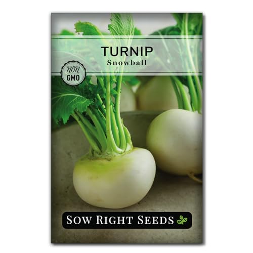 Sow Right Seeds - Snowball Turnip Seeds for Planting - Non-GMO Heirloom Packet with Instructions to Grow an Outdoor Home Vegetable Garden - Ivory White Egg Turnip - Early Season Cold Hardy (1)