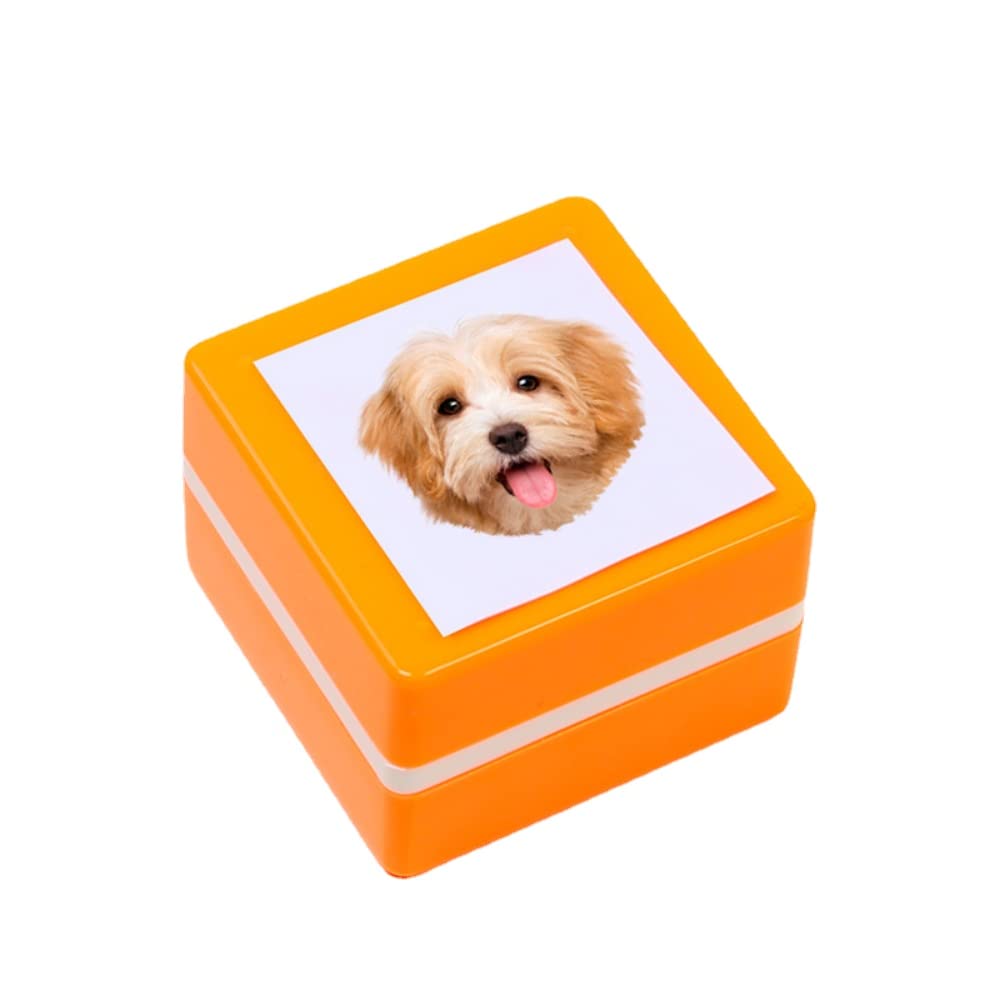 Custom Cat Portrait Ink Stamp, Personalized pet Dog Portrait Stamp, Gift for cat Lover,Pet Stamp, Pet Gift (oranger,37 * 37 * 27 mm)