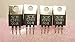 2SC2491 / Transistor / 4 Pieces (QZTY)
