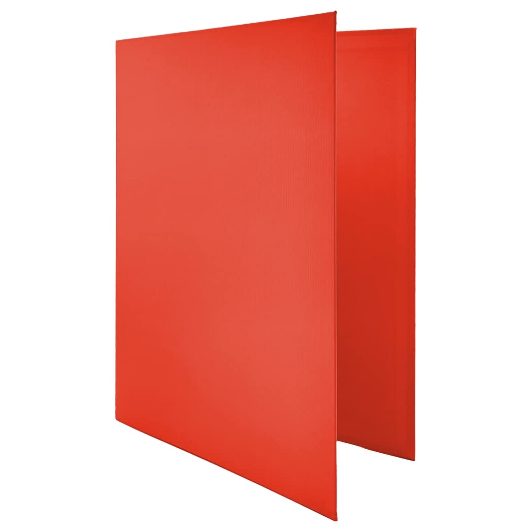 Raylu Paper®, 25mm 4 D-Ring Binder