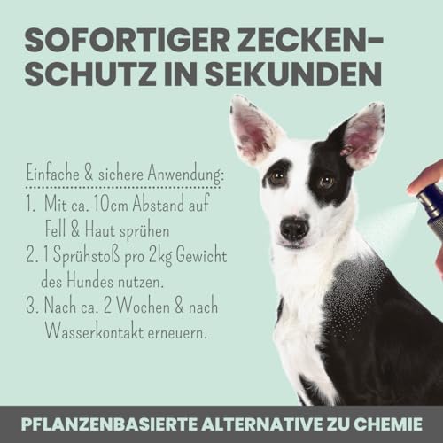 Noms+ Zpray Zeckenmittel für Hunde Jahresvorrat | Spray mit pflanzenbasierten Wirkstoffen & Saltidin | gegen Zecken, Milben, Flöhe, Sandmücken