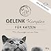Annimally Gelenk Pulver für Katzen I 120g für 4 Monate - Die Alternative zu Gelenktabletten - Gelenkfit Pulver mit Grünlippmuschel, MSM, Teufelskralle, Taurin, Glucosamin und Kurkuma