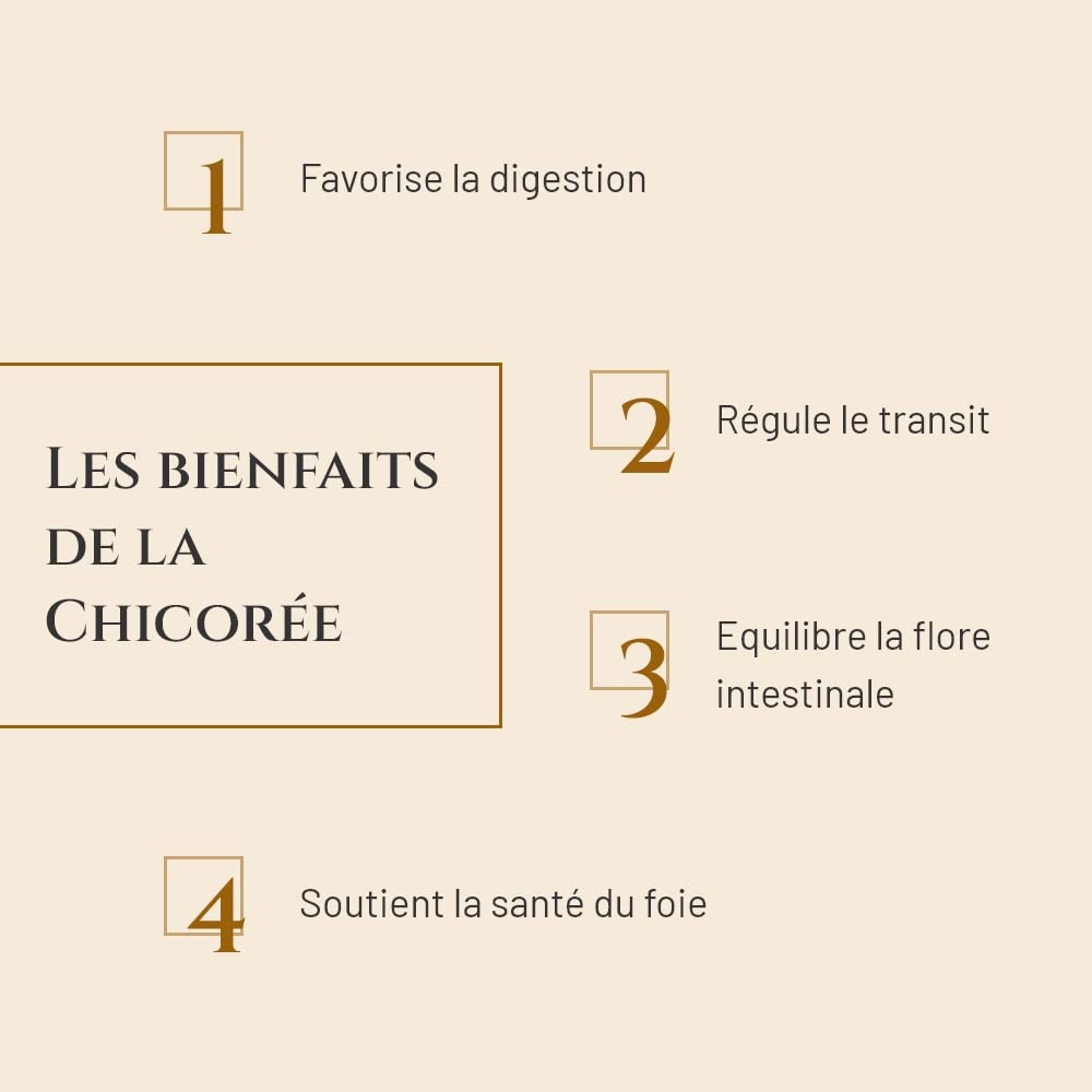 CHICORÉE - Complément nutritionnel Cheval - Seau 1 kg - Digestion Cheval - Equilibre de la Flore intestinale - Marque Française
