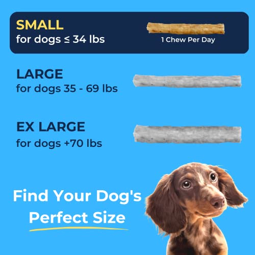 Gentle Rawhide Chews | Protected Dental Treats for Small Canine | Vet VOHC Permitted | Every day Bone Cleans Enamel & Gums Recent Breath Oral Well being Assist | USA Made | (Small Canine / 12 Rely) Gentle Rawhide Chews | Protected Dental Treats for Small Canine | Vet VOHC Permitted | Every day Bone Cleans Enamel & Gums Recent Breath Oral Well being Assist | USA Made | (Small Canine / 12 Rely)