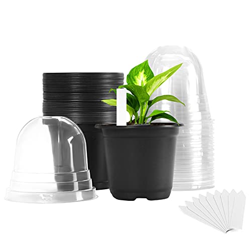 Plastic Plant Nursery Pots 30 Packs 4 Inches with Humidity Dome and 10Pcs Plant Labels, Garden Pots for Plants Indoor & Outdoor, Flower Pots Seed Starting Pots for Seedlings, Cuttings, Succulents