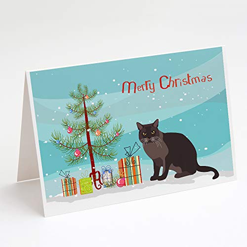 Caroline's Treasures CK4767GCA7P European Burmese Cat Merry Christmas Greeting Cards and Envelopes Pack of 8 Blank Cards with Envelopes Whimsical A7 Size 5x7 Blank Note Cards