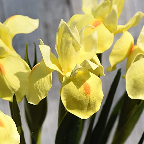 huaao Pack of 3 Artificial Iris Flowers, Long Stems, Fake Artificial Flowers, Iris Decoration for DIY Flower Arrangements, Wedding Bouquet, Photo Props Decoration, Home Party Table Decoration, Yellow - Image 3