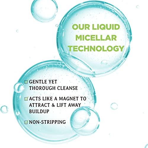 Carol’s Daughter Wash Day Delight Love At First Wash Water To Foam Sulfate Free Shampoo With Aloe And Micellar Water, Paraben Free, Silicone Free, Micellar Shampoo For Kinky, Curly Hair, 16.9 Fl Oz #TOP4