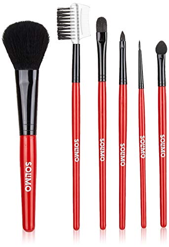Amazon Brand – Solimo Makeup Brushes, Set of 6