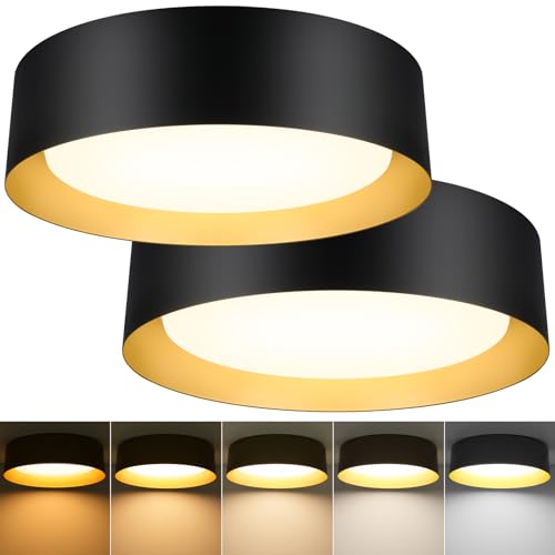 Image of Flush Mount Ceiling Light, 13in Modern Ceiling Light 5 Color Temperature
