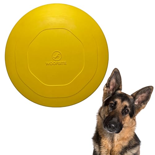 Top 10 Dog Frisbee For Chewers of 2022 Katynel