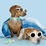 Dog Collar Blue Sea Turtles Dogs Collar Spring Summer Cute Collars Dog Boy or Girl Soft Durable Adjustable Dog Collars for Small Dogs Pet Gift - Image 3
