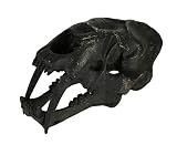 Things2Die4 Black Saber Toothed Cat Skull Statue Smilodon