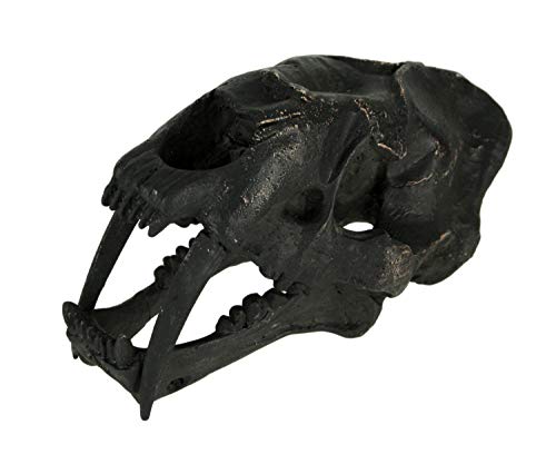 Things2Die4 black saber-toothed cat skull statue