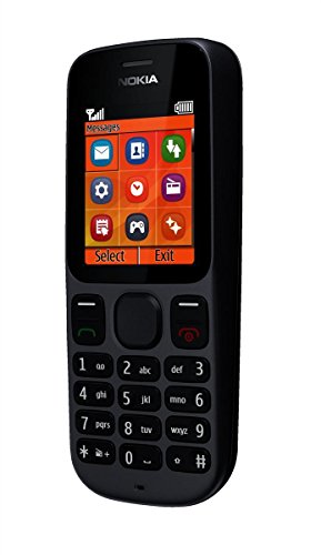 Nokia 100 Téléphone portable Écran 4,6 cm (1,8) Radio Noir