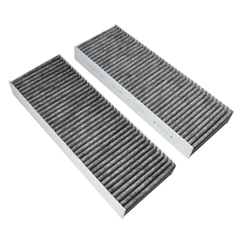 AllSpares Lot de 2 filtres à charbon actif pour plaques de cuisson Bora Basic/BAKFS et BIU/BHU/BFIU/GP4 (338 x 123 x 42 mm)