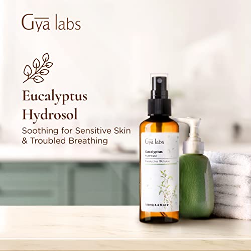 Gya Labs Eucalyptus Spray For Sinus Relief And Skin Care - Air Freshener Room Spray To Purify Air - Face Mist Spray For Tired And Dry Skin - 100 Pure And Unrefined Eucalyptus Oil Spray - 100Ml #TOP2