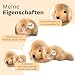 Steiff Kuscheltier Kleiner Freund Golden Retriever Welpe Lumpi, Süßes Stofftier mit Kunststoffaugen, Kinder, Jungen & Mädchen, Plüschtier 22 cm, Beige, 280160