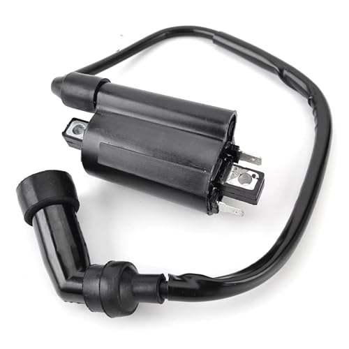 Bobina de encendido para explorar rutas extremas en tu quad Trasher o Argon 3