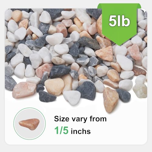 Image of 5 lbs Small Rocks for Plants, 1 /5 Inch Pebbles for Indoor Plants, Natural Decorative Pea Gravel for Aquarium, Fish Tank, Terrarium, Succulents, Bamboo Plants, Vases, Cactus, Crafts