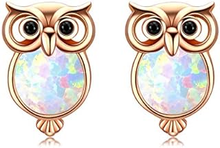 Owl Jewellery for Women Gift for Girls 925 Sterling Silver 18K Rose Plated Heart Pendant Synthetic Opal Owl Necklace, Gift Packaging