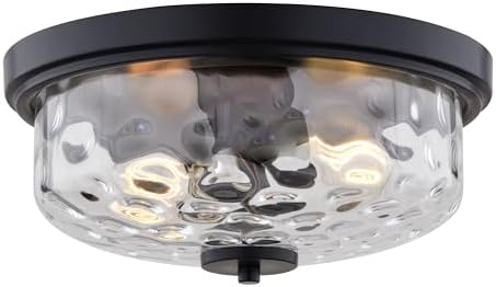 VAXCEL Northlake 2-Light 13 in. Wide Matte Black Transitional Dome Flush Mount Lighting Fixture, Clear Water Glass Shade, LED Compatible, for Low Ceilings, Bedroom, Hallway, Kitchen