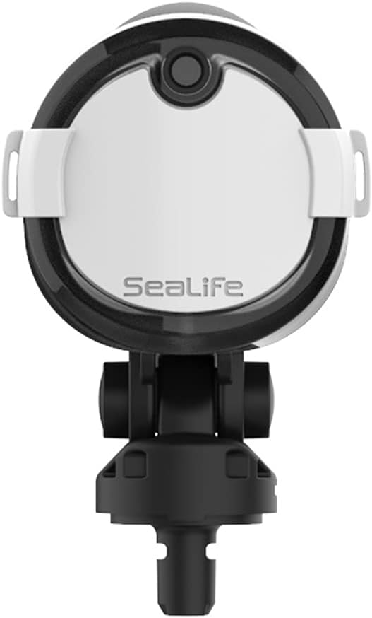 Sea Dragon Duo Flash Set