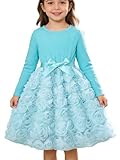 JiAmy Mädchen Kleider Langarm Hübsches Kleinkinder 3D-Grafik Rosen Tüllkleid Festliches Kinder Partykleid Geburtstagskleid mit Satinbund für Kleine Mädchen für 6 Jahre, Hellblau