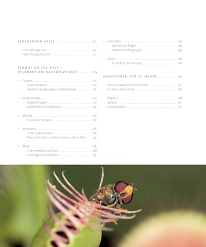 Karnivoren - Die Welt der fleischfressenden Pflanzen