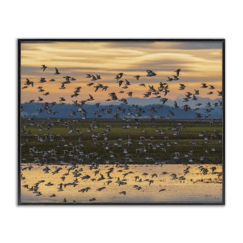 Bird Flock Lake Reflection Sunset, 11 x 14 Inch Framed Giclée Print