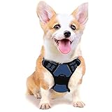 🐕【KLEINES HUNDEGESCHIRR】--- Brustumfang: 40-50cm. Bitte wählen Sie die Größe basierend auf dem Brustumfang Ihres Hundes, indem Sie vor dem Kauf den breitesten Teil der Brust Ihres Hundes abmessen (wählen Sie zwischen den Größen die größere Größe und lassen Sie 2 cm frei). Empfohlene Rassen: Kleine Hunde, wie Chihuahua, Havaneser, Corgi, Mops, Puggle, Terrier usw. Bringen Sie Ihren Welpen mit diesem stilvollen Geschirr zur Geltung!