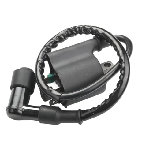 Bobina de encendido para motocicletas y scooters PCX y WW 3