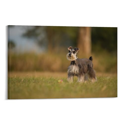 Poster Schnauzer 11 impression sur toile d'art durable