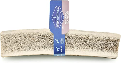Barkworthies Hand Selected Naturally Shed Medium Split Elk Antler (Single Antler) - Long Lasting, Odor Free Dog Chew for Medium Dogs - No Chemical Treatments, No Added Preservatives