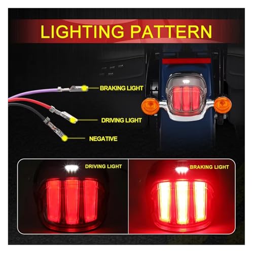Feu arrière de frein à LED fumé ensemble phare moto FXS