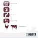 Bozita Nassfutter Senior 8+ Rind Häppchen in Sauce im Portionsbeutel 12x85g Getreidefreie Katzenfutter Nassfutter (Packung mit 2)