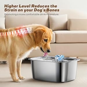Dog-Water-Fountain-for-Large-Dogs-11L-3Gal-Stainless-Steel-Pet-Fountains-for-Large-Multiple-Pets-Ultra-Quiet-Automatic-Water-Bowl-Dispenser-Large-Capacity-Dogs-Cats-Drinking-Fountain-with-2-Filters - Cucciolini Doodles Dog-Water-Fountain-for-Large-Dogs-11L-3Gal-Stainless-Steel-Pet-Fountains-for-Large-Multiple-Pets-Ultra-Quiet-Automatic-Water-Bowl-Dispenser-Large-Capacity-Dogs-Cats-Drinking-Fountain-with-2-Filters